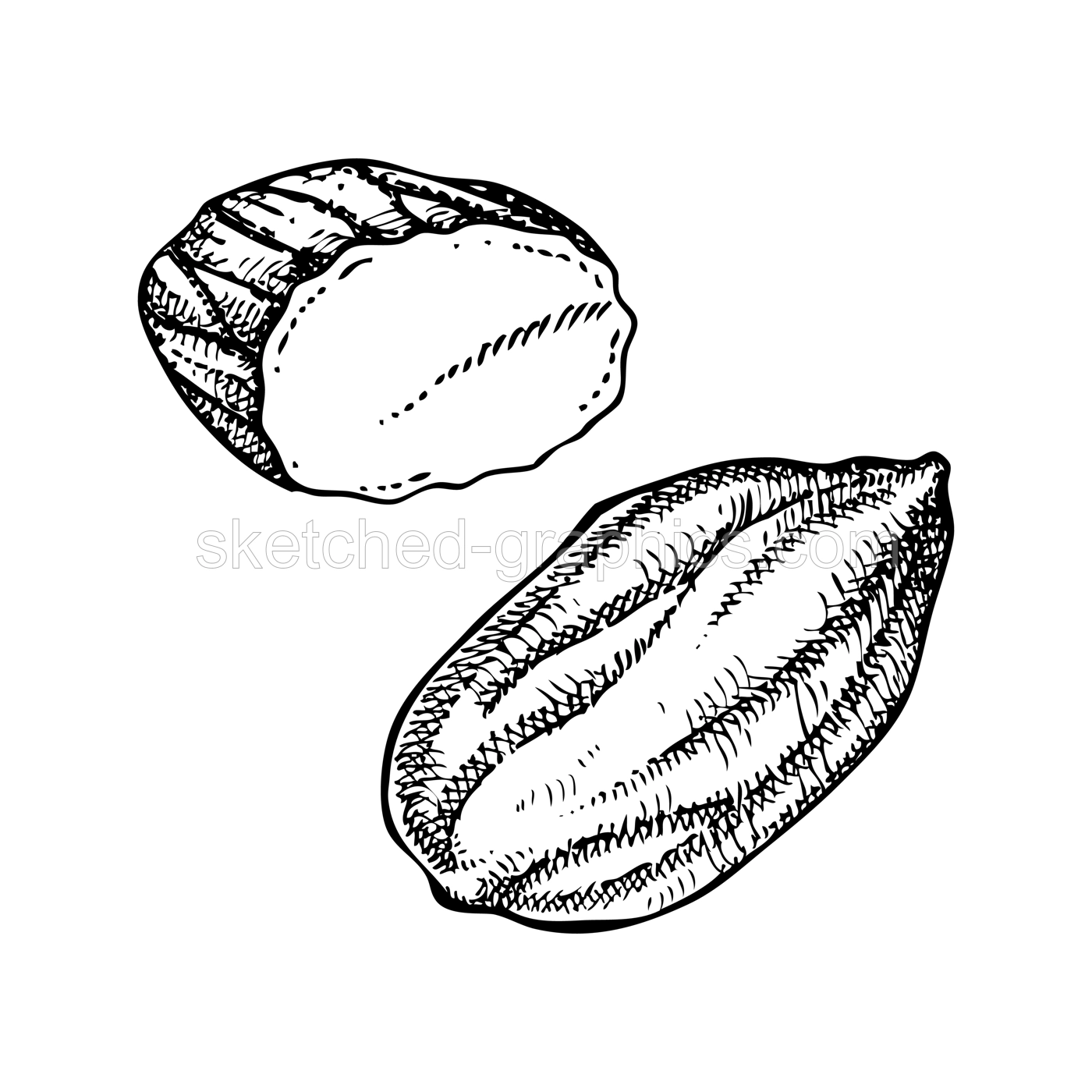 Almond nut sketches set. Hand-drawn vector illustration. Vintage nut, cosmetics ingredient, healthy food drawings. Botanical design element in engraved style for label and packaging. Illustration